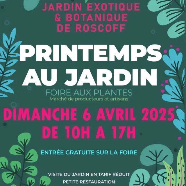 À NOTER DANS VOS AGENDAS : Le Jardin organise la 8ème édition de la foire aux plantes "Printemps au jardin", c'est le 6 avril 2025, et l'entrée est gratuite sur la foire ! #jardinexotique #roscoff #finistere #Bretagne #flowers #flowerpower #fenetresurlabretagne #fenetresurroscoff #botanicalgarden #destinationbretagne #sensationbretagne #toutcommenceenfinistere #breizh #loisirsenfinistere #exoticflowers #couleurs #floraisons #afriquedusud #southafrica #protea #printemps #foireauxplantes